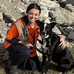 Usar Dogs