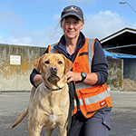 Usar Dogs